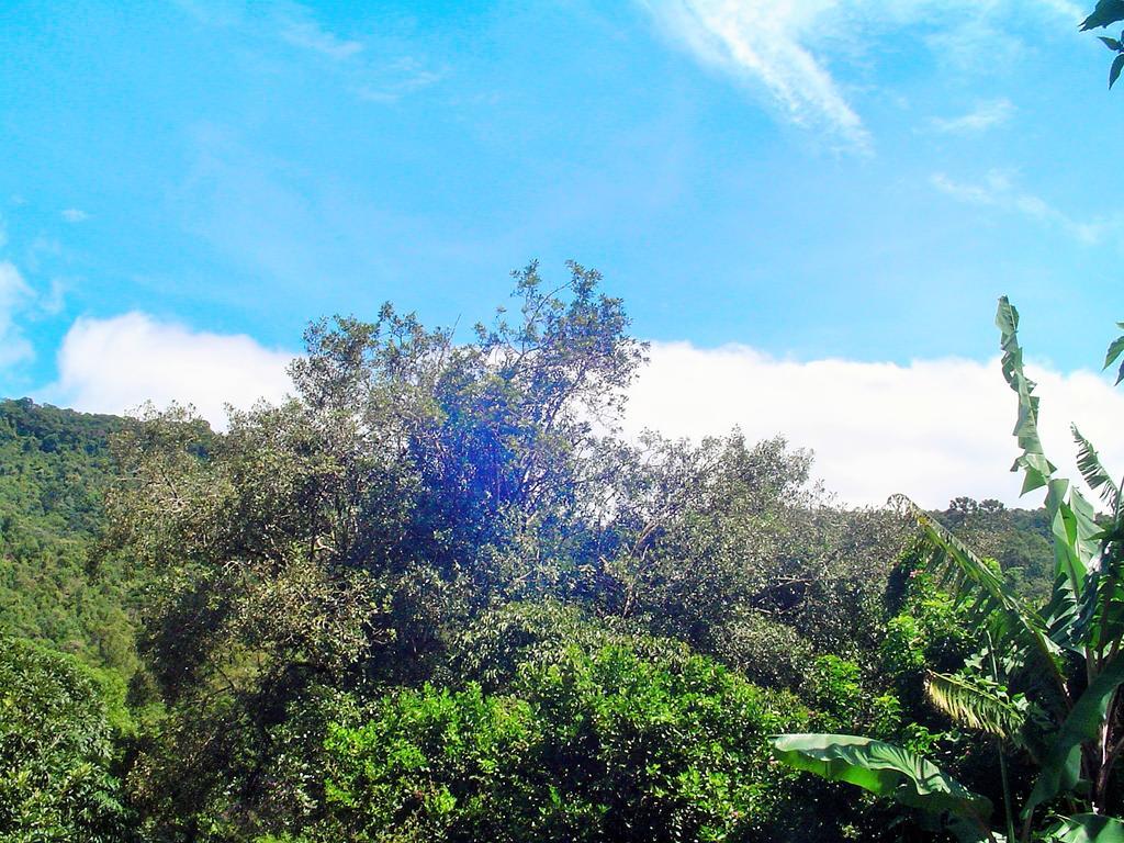 Casa Dell Angelo Apartamentos วิสกอนจิ จิ เมาอา ภายนอก รูปภาพ