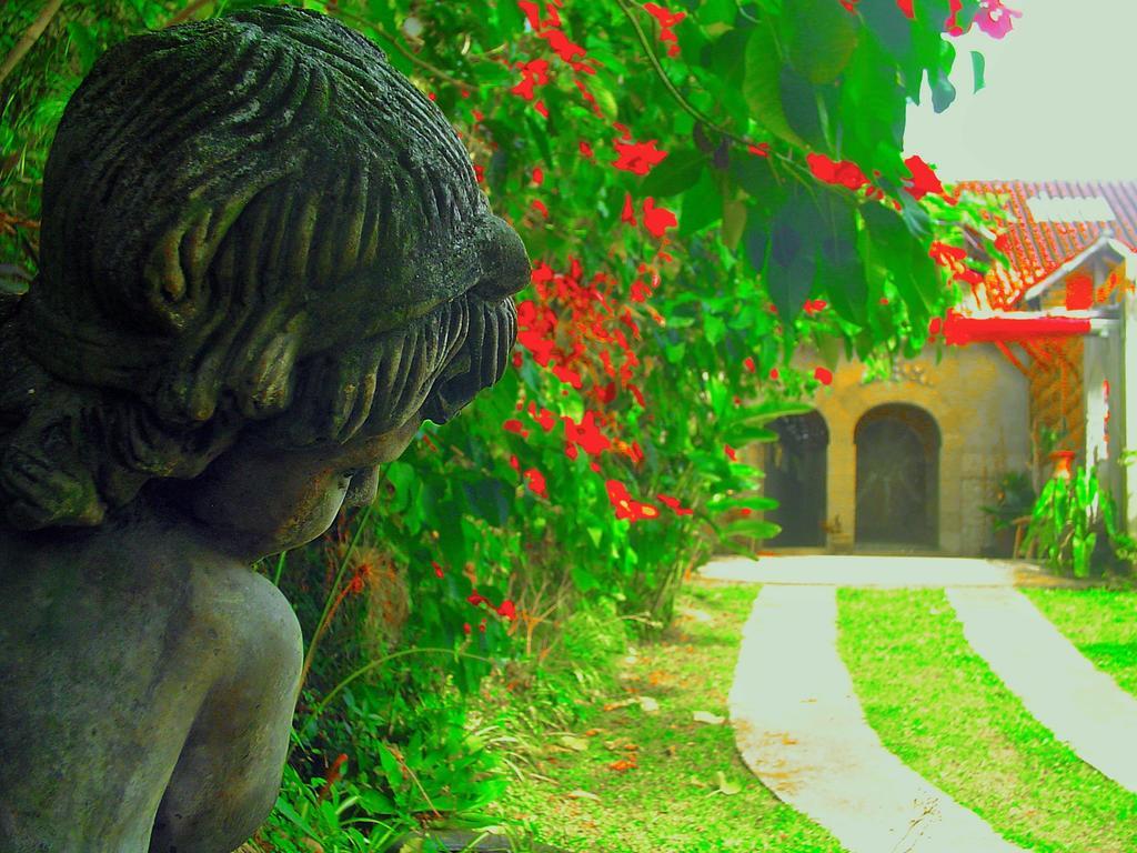 Casa Dell Angelo Apartamentos วิสกอนจิ จิ เมาอา ภายนอก รูปภาพ