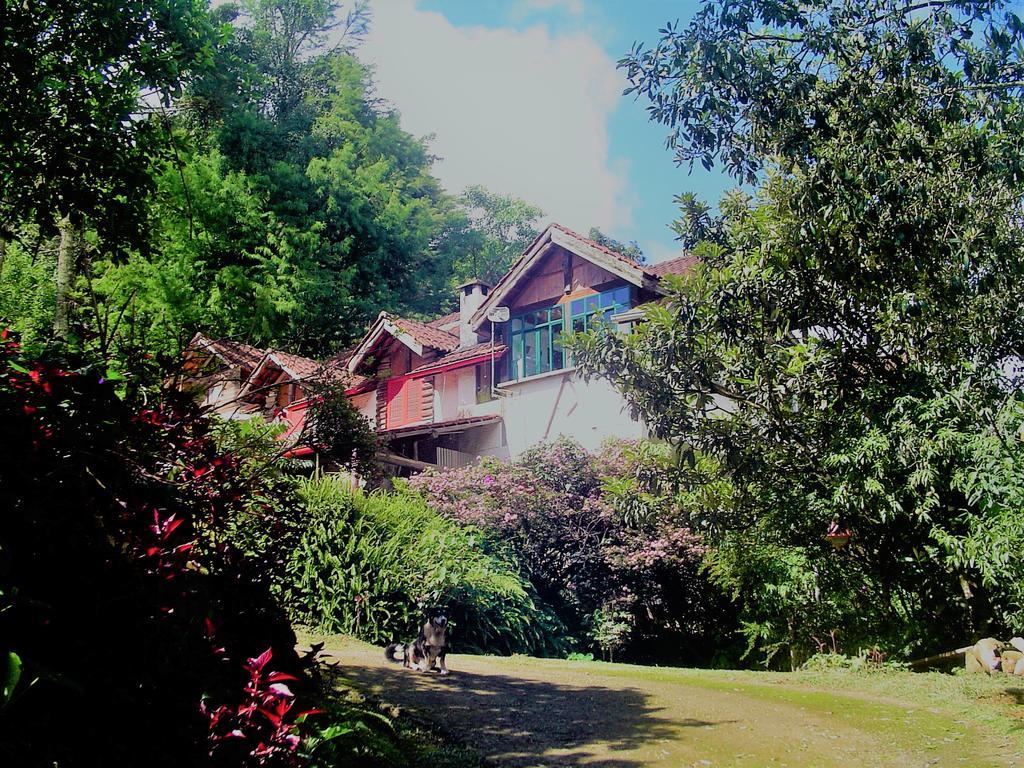 Casa Dell Angelo Apartamentos วิสกอนจิ จิ เมาอา ภายนอก รูปภาพ